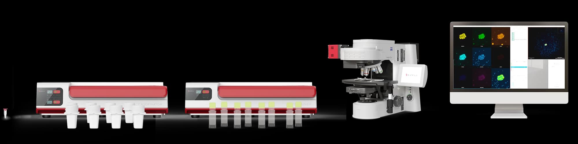 X-ZELL Next-Generation Cytology platform sequence from sample to digital review