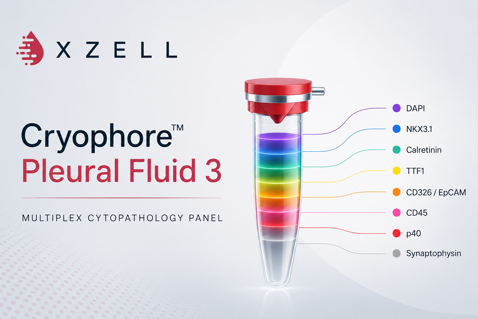 Multiplex fluorescence channels in Hybrid Microscope software